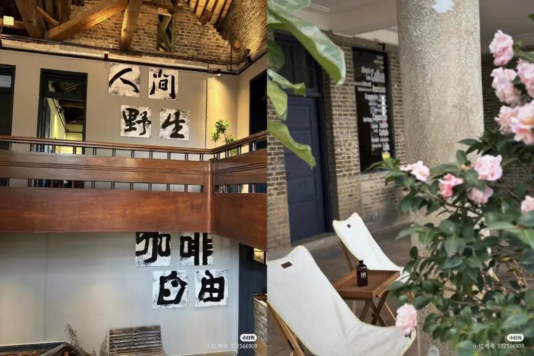 图片[3]-回老家开咖啡店，中年职场危机的解药?-凌耘闲说